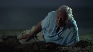 Sir David Attenborough being iconic for 25 minutes