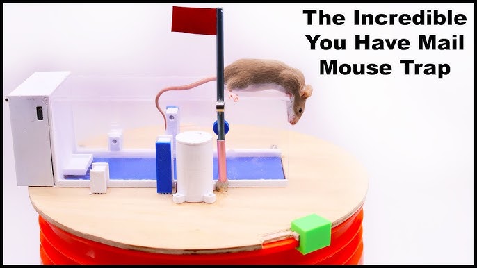 The World's Most Mouse Friendly Humane Mouse Trap. Mousetrap
