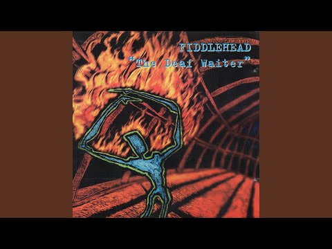 Fiddlehead — Sourdive