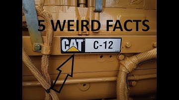 5 Cat Engine Facts Most People Don