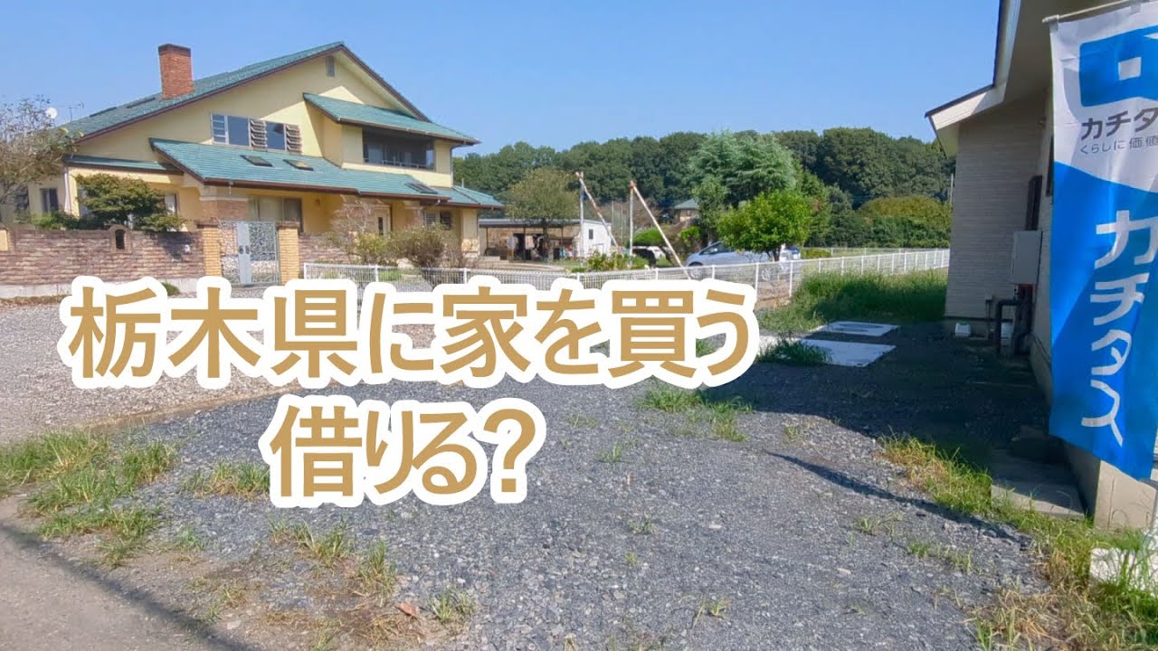 栃木県に家を買う？借りる？物件探し始まる。ゴールデンレトリバーティト