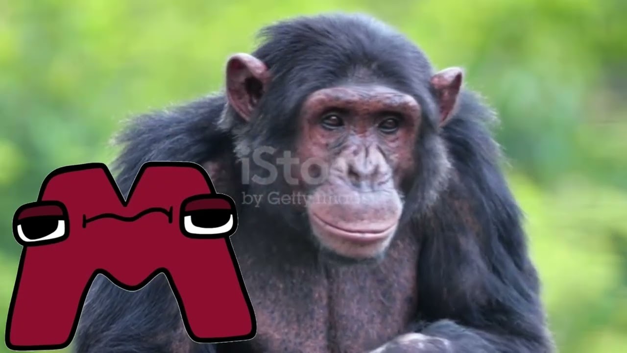 The Alphabet Lore Song! (With Animals)