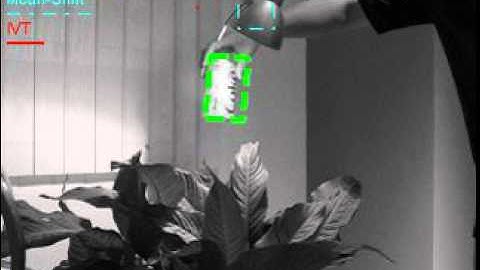 Robust Visual Tracking by Maximizing Posterior Probability of Matching Residuals - 3