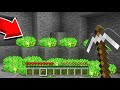 1000$ SONSUZ PARA YAĞMURU !! 😱 - Minecraft