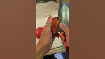 Kdo začal jíst rajčata?