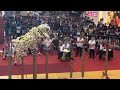 1st southeast asian lion dance championship  singapore winner champion  23102022  the curve