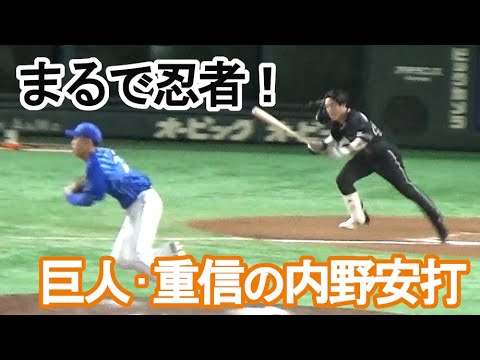 【まるで忍者！】一ゴロを内野安打にする巨人・重信慎之介