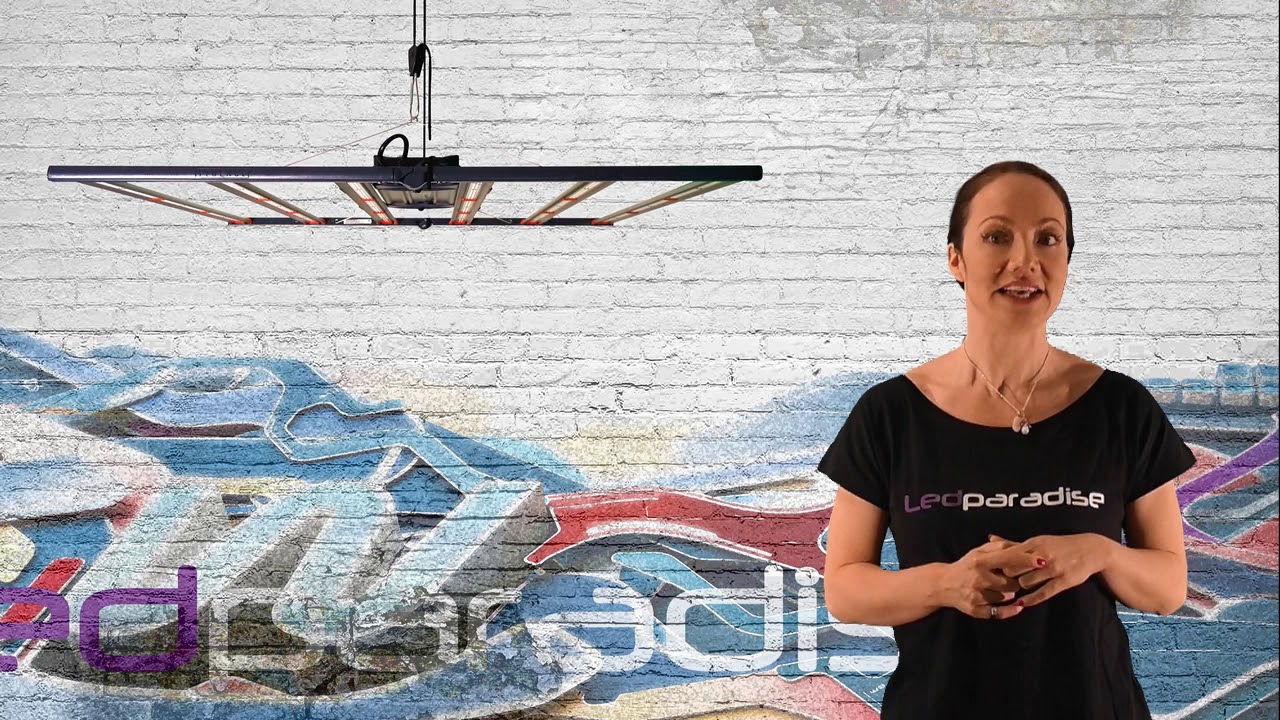 Product Review Fluence Spydr 2x 2p 2i Led Growlampe DE