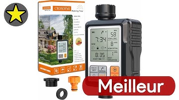 🏆 TOP 3 PROGRAMMATEUR D