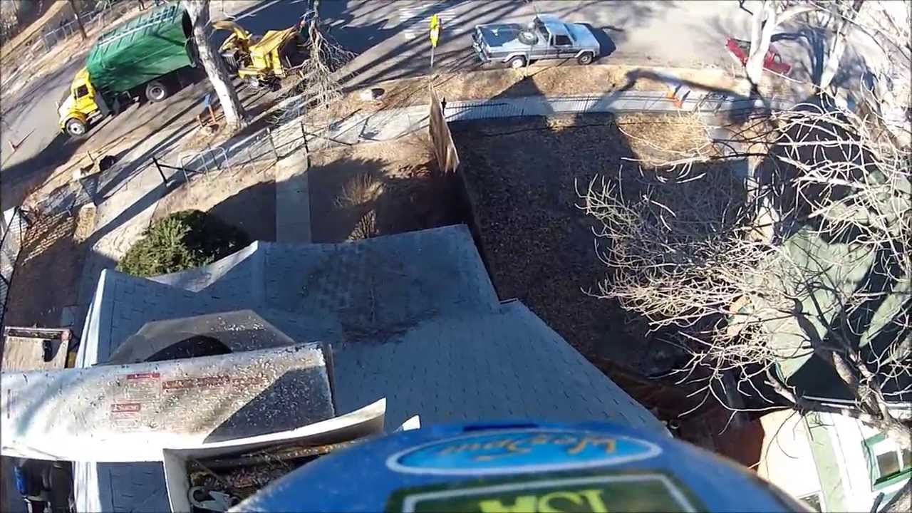 Pruning a Tree over a House with a Speed line - YouTube
