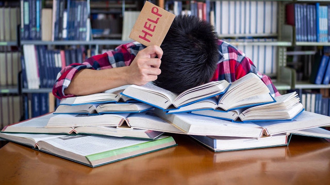 Vídeo: Is studying important?
