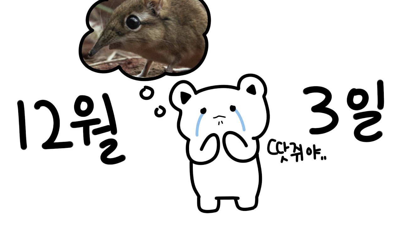 1203 YouTube