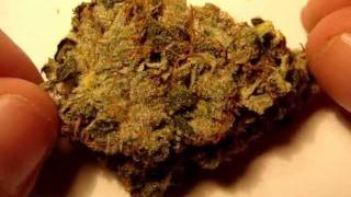 Happy Holidaze!!! (Pink Kush + Blue Cheese)