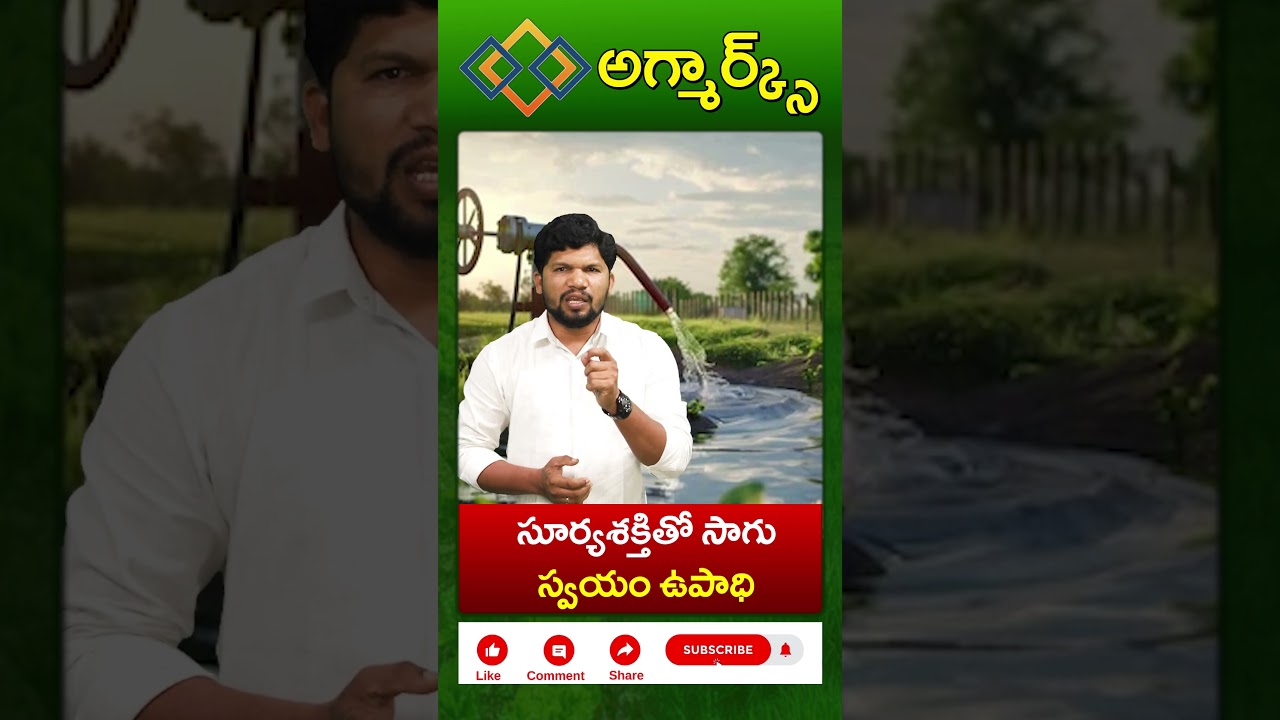 తెలంగాణ వ్యవసాయ రంగంలో కొత్త అధ్యాయం మొదలు.. | Telangana Solar Project | TG Govt | Agmarks