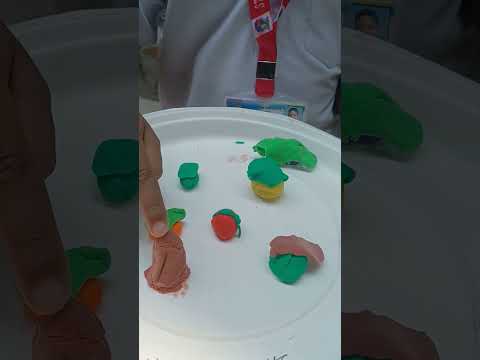 Shashwat ka pahla school project