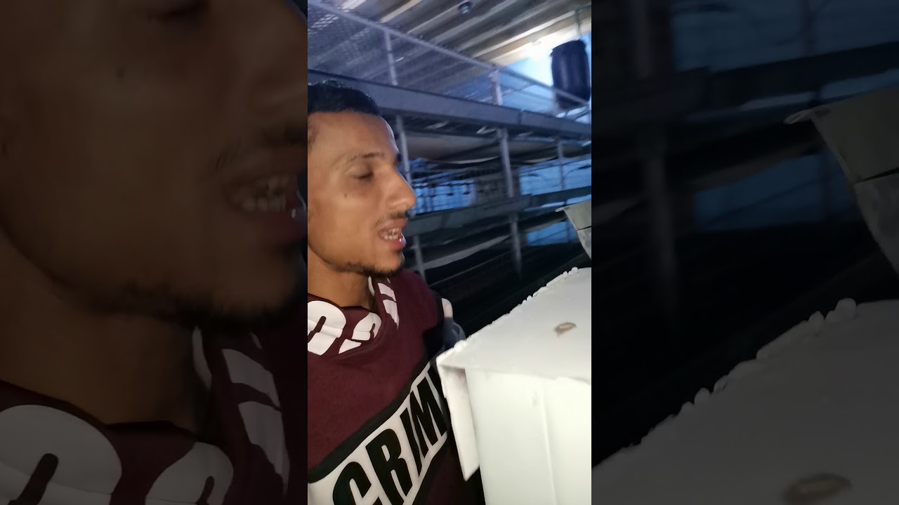 أحدث التقنيات والتصميمات لبطاريات الدواجن الحديثه على سير سبله#