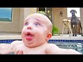 Babies Playing In Water Funniest Fails - Try Not to laugh