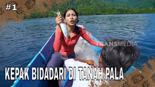 Download Lagu KEPAK BIDADARI DI TANAH PALA | JEJAK PETUALANG (29/01/26) Part 1 MP3