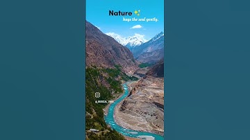 "Nothing grounds me like the feeling of being surrounded by nature’s calm chaos" #goodnature #nature