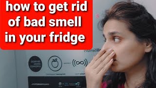 My Refrigerator Stinks! | How to Fix a Smelly Fridge | home remedy!