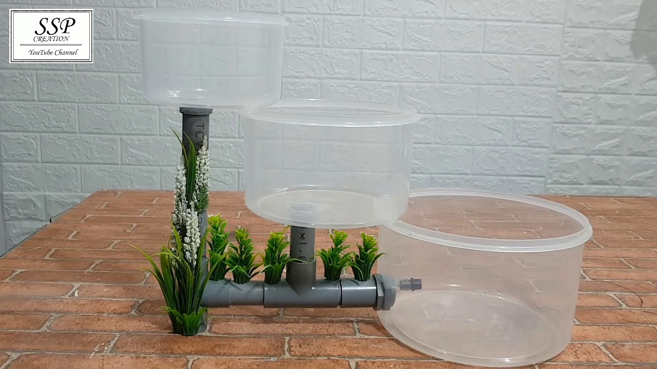 Aquarium designing SSP creation