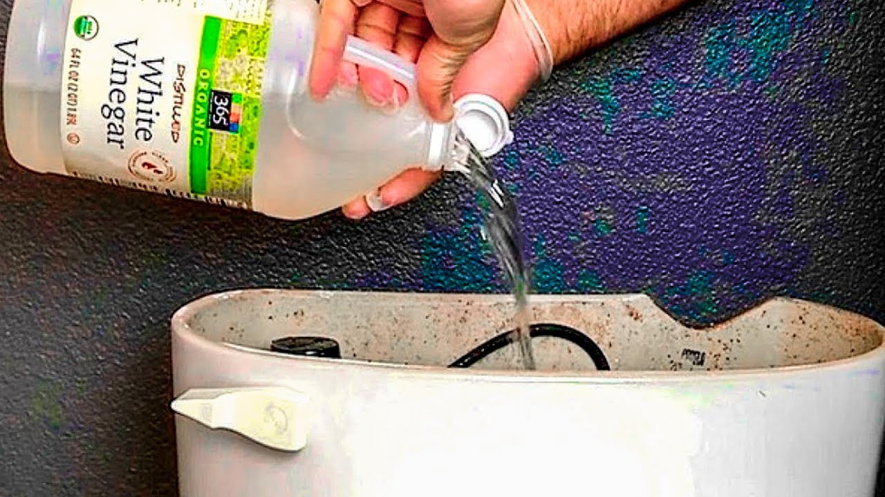 Он залил в туалетный бачок уксус. Только посмотрите, что произошло ...