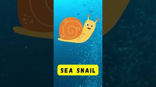 Sea Animals | Learn sea animals names in English | Kids vocabulary | English Educational Video | ABC