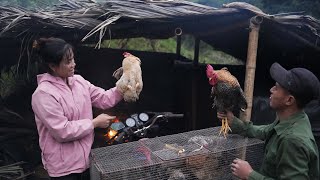 Building a Chicken Coop, Gardening, and Pickle Processing | EP. 13