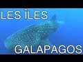 Les les galapagos  documentaire faune flore paysage