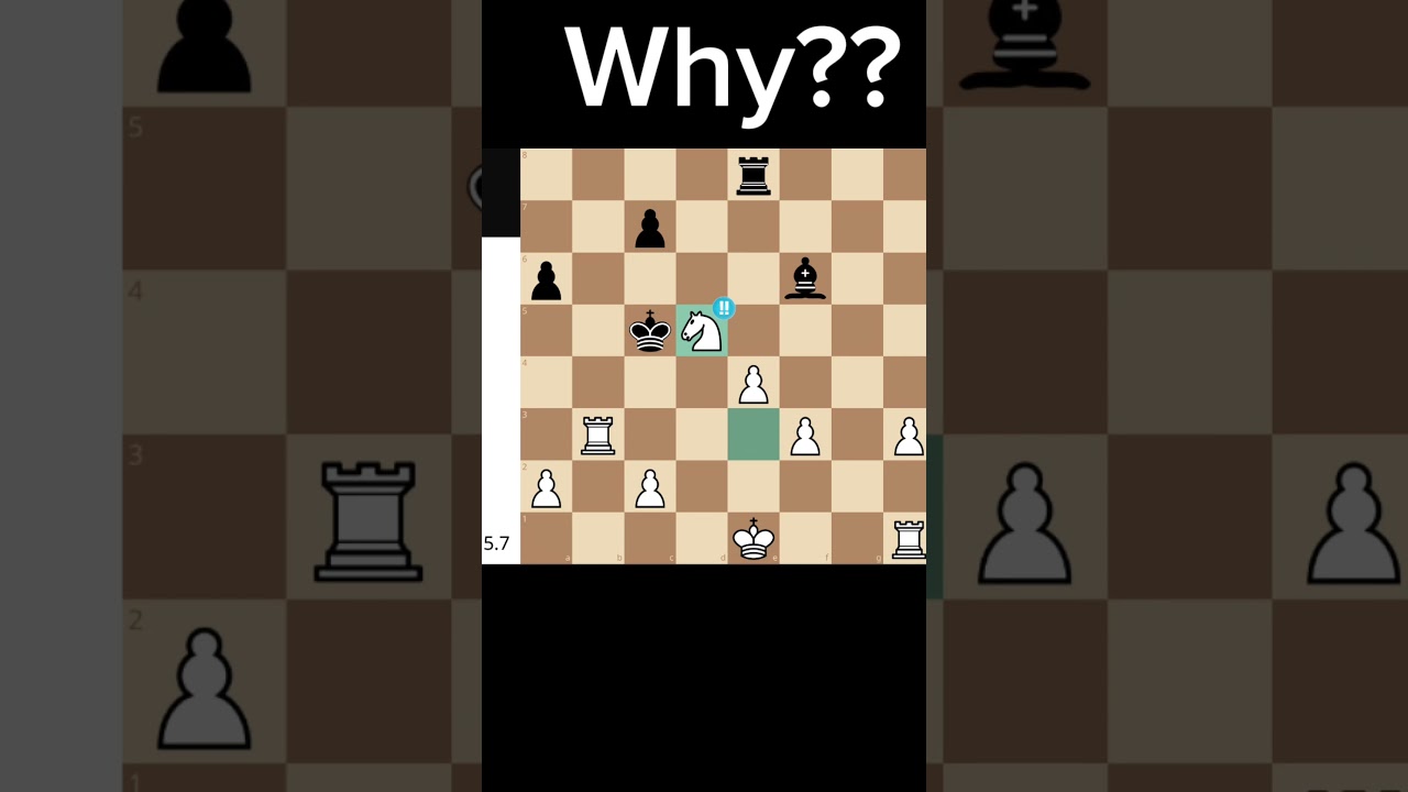 The ROOKKK!!!!!!!! Chess brilliant move!!!!! #chess #chessgrandmaster #chesstactics #brilliantmove