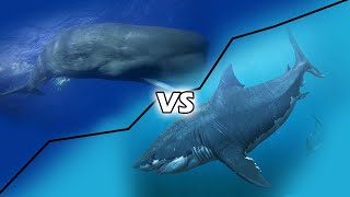 Paus Sperma vs Megalodon, Mana Yang Akan Menang?