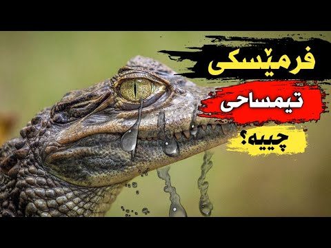 تیمساح زیاتر لە 200 ملیۆن ساڵە لە ژیاندایە