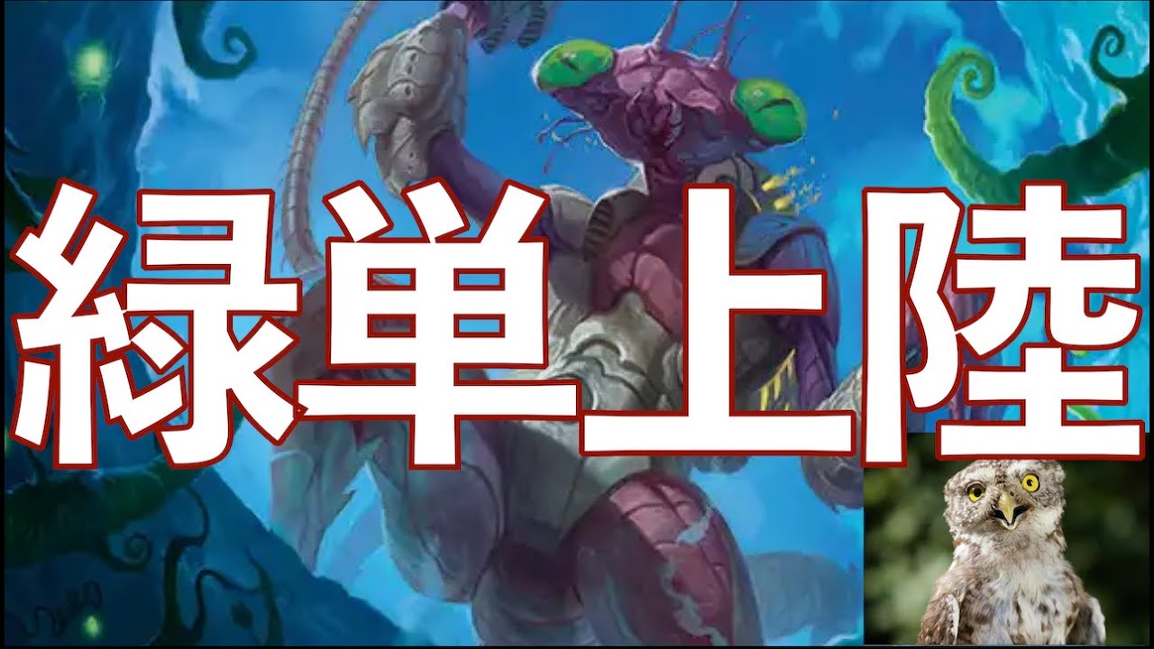 氷耕しの探検家＆強靭形態の調和者という新しいシナジーを得た、緑単