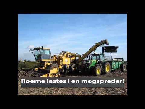 Video: Slippe Af Med Sukkerroer