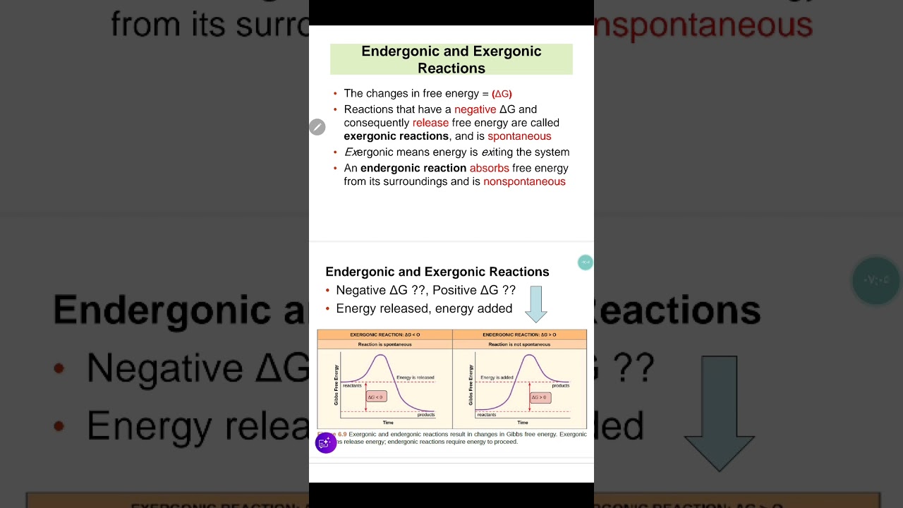 ١٠ كانون الثاني ٢٠٢٦