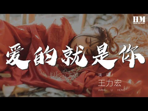 王力宏 - 愛的就是你『你就是我唯一 我真的愛的就是你』【動態歌詞Lyrics】