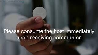 8:00 am Sunday Mass May 31, 2026