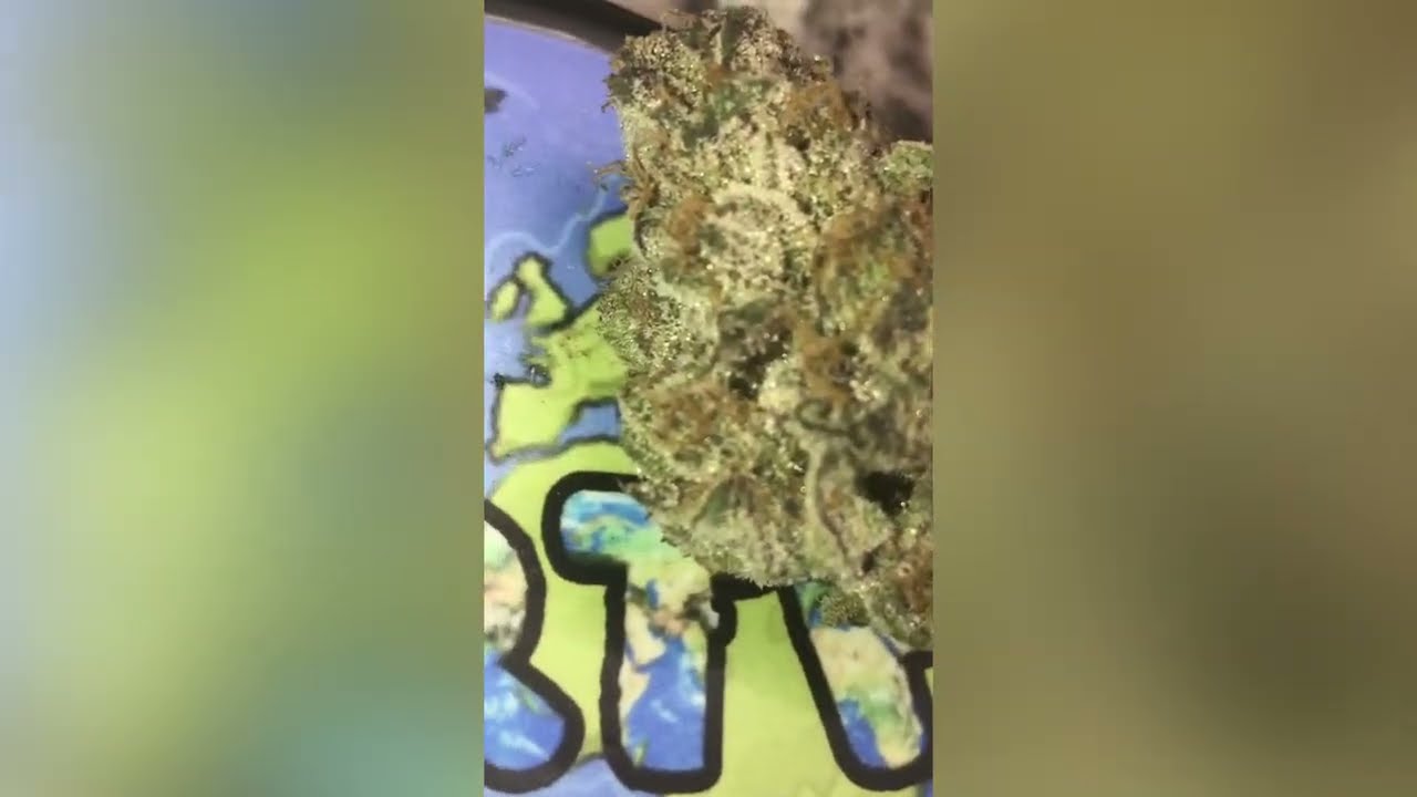 Slow Lane Strain ( Smk Brk 420 )