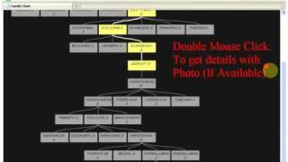 Dammani Family Chart screenshot 1