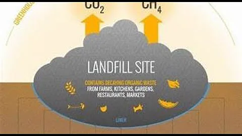 How much does food waste contribute to climate change (mirrored)