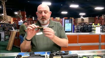 Sig Sauer P320 and P365 Modular System