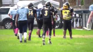 TJ Butler Football Highlights 2014