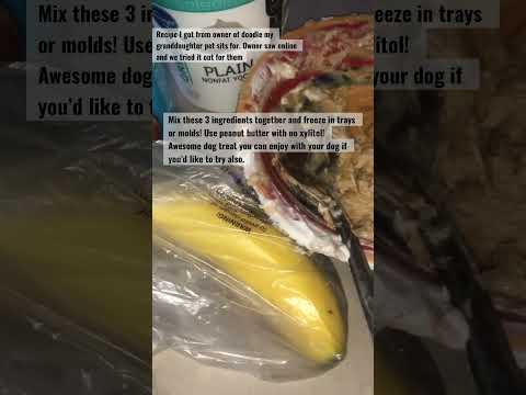 Mix These 3 Ingredients and Freeze For The Perfect Frozen Dog Treats #shortsvideo