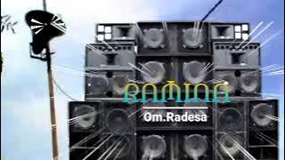 RAMINA || Om.Radesa || Instrumen || #dangdutlawas