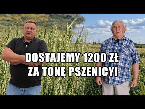 We are selling wheat for 1,200 PLN per ton, yet there is still a shortage of the commodity in the...