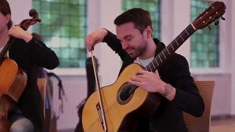 MIRROR STRINGS - Maximilian Guth: BraadiCardia