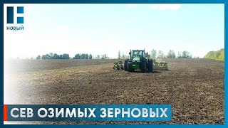 Максим Егоров помог аграриям Тамбовской области в севе озимых зерновых