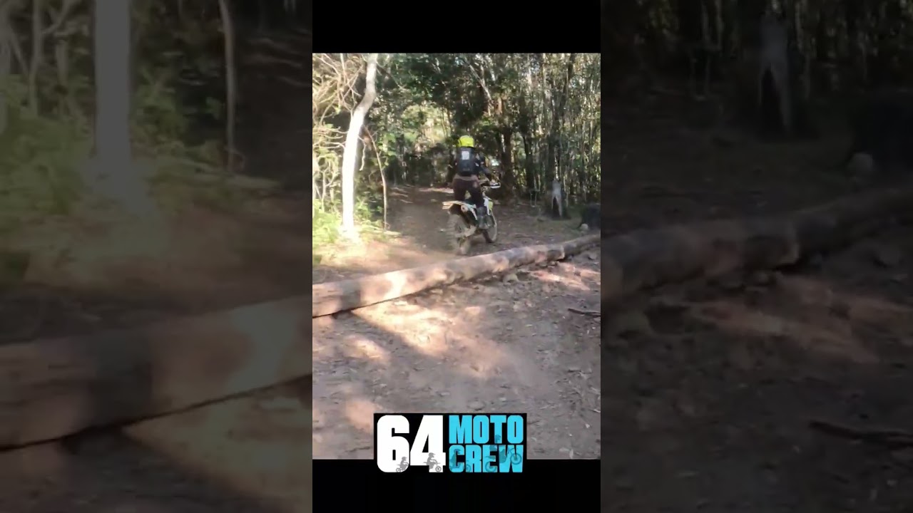 Snapshot of Glen Echo Trails. Logs & Rocks for fun. 