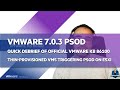 [EN] VMware: PSOD after updating to vSphere ESXI 7.0 Update 3 - Panic Requested by another PCPU