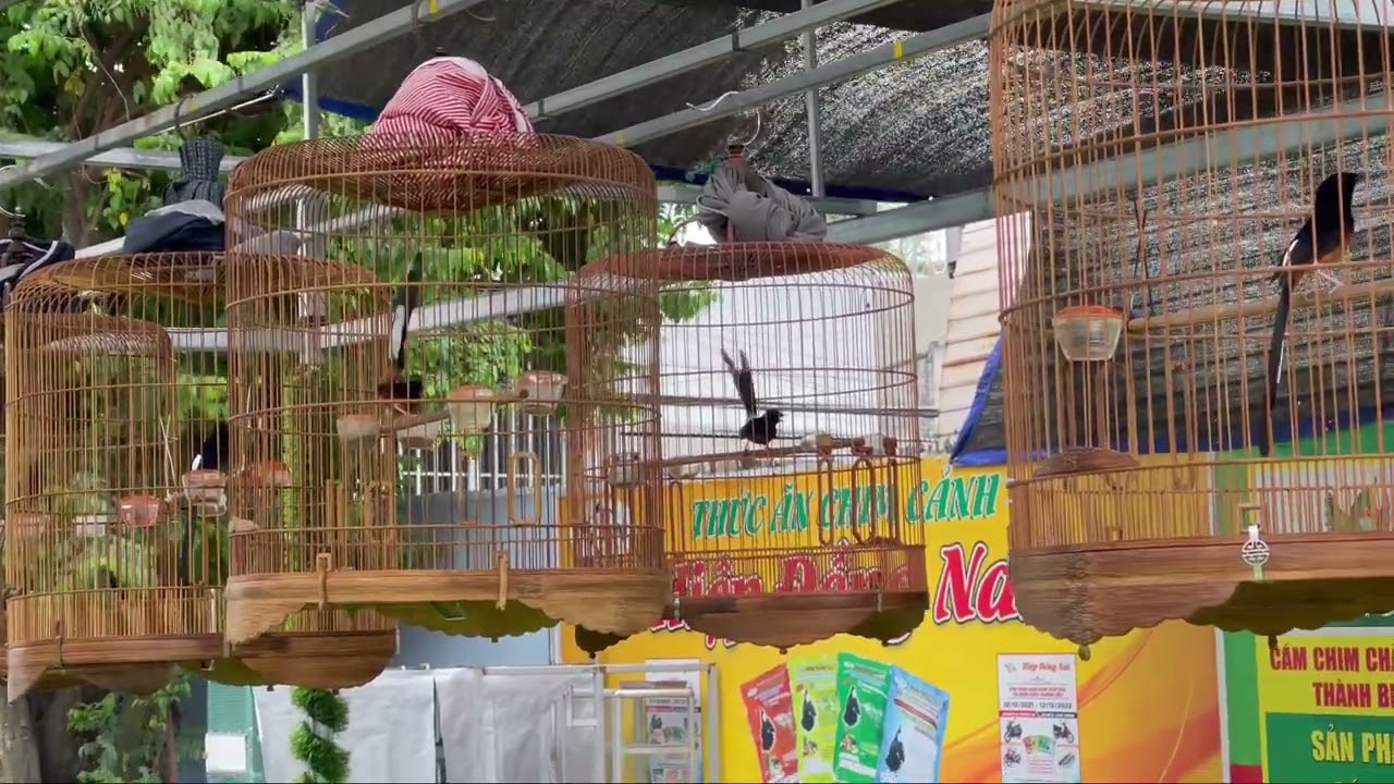 TB25 chiến binh mùa 1 đang chuẩn bị vào mùa 2. Hy vọng sẽ lên hàng cọp